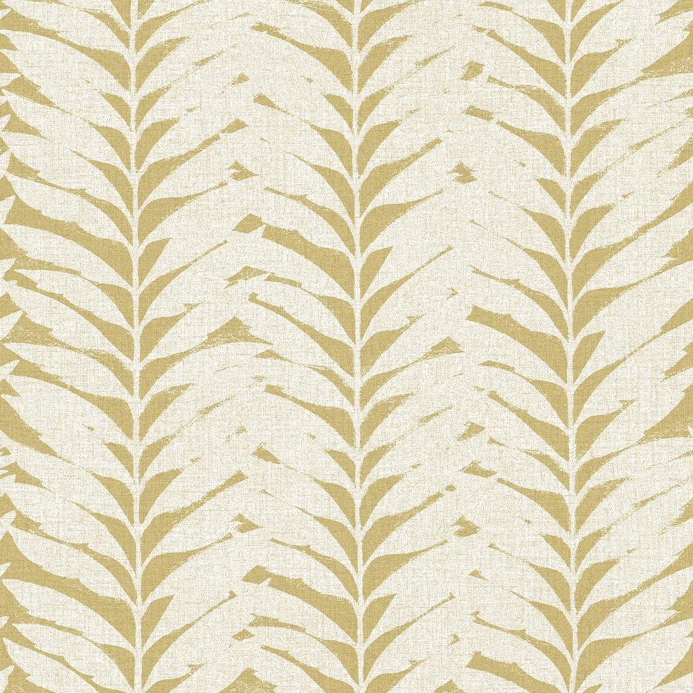 Acacia Caraway