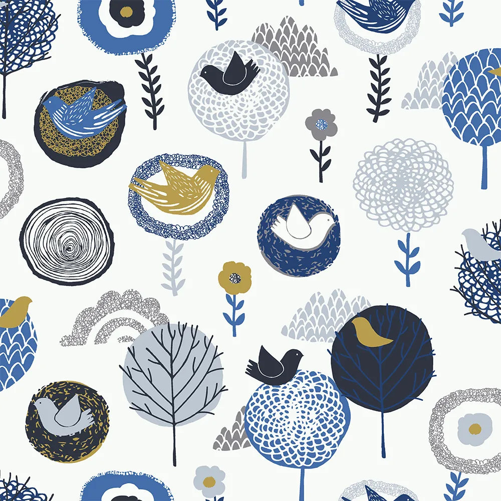 Birdsong Daybreak