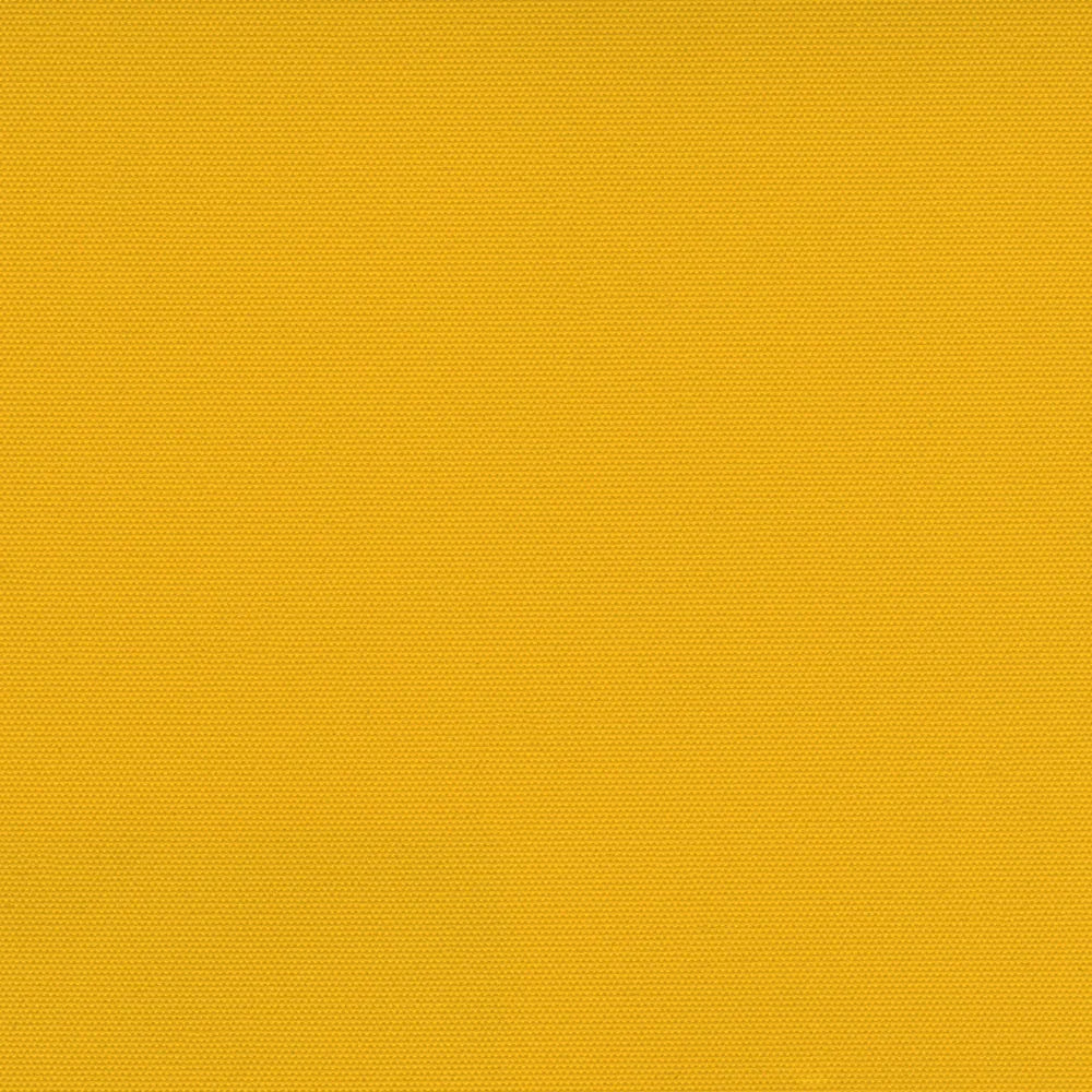 Carnival Blackout Ochre