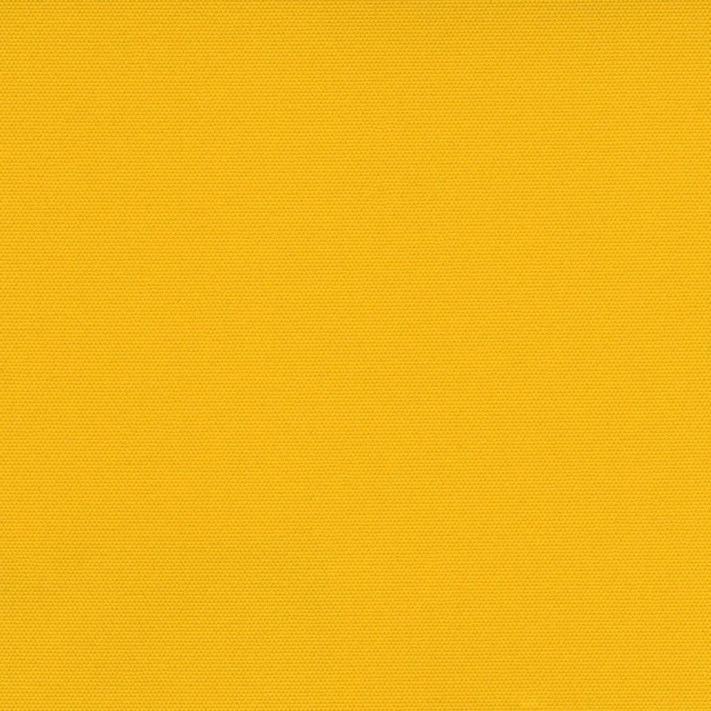 Carnival Ochre