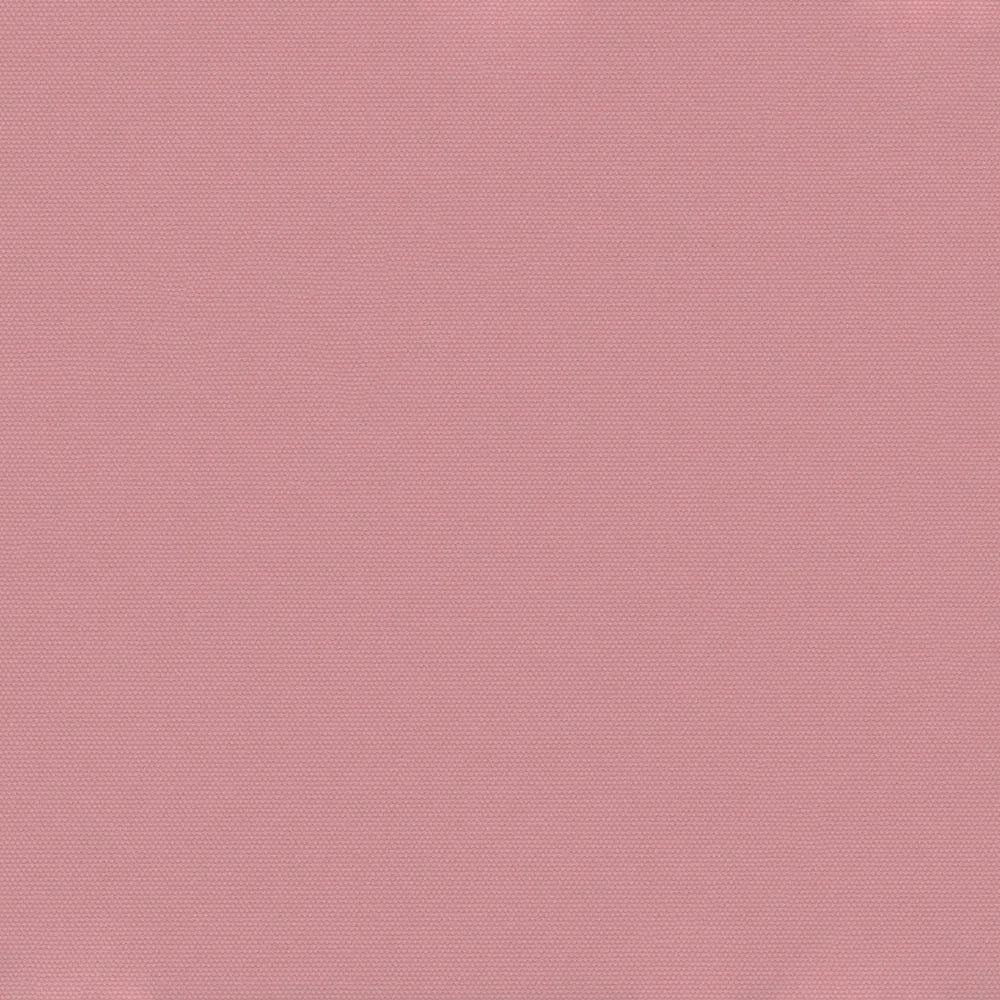 Carnival Pink