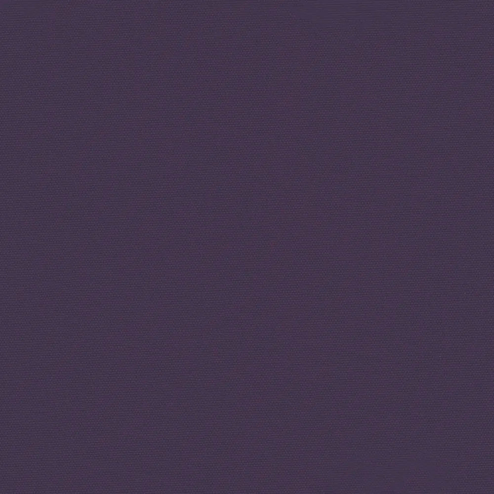Carnival Purple