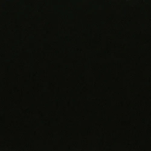 Carnival Blackout Raven