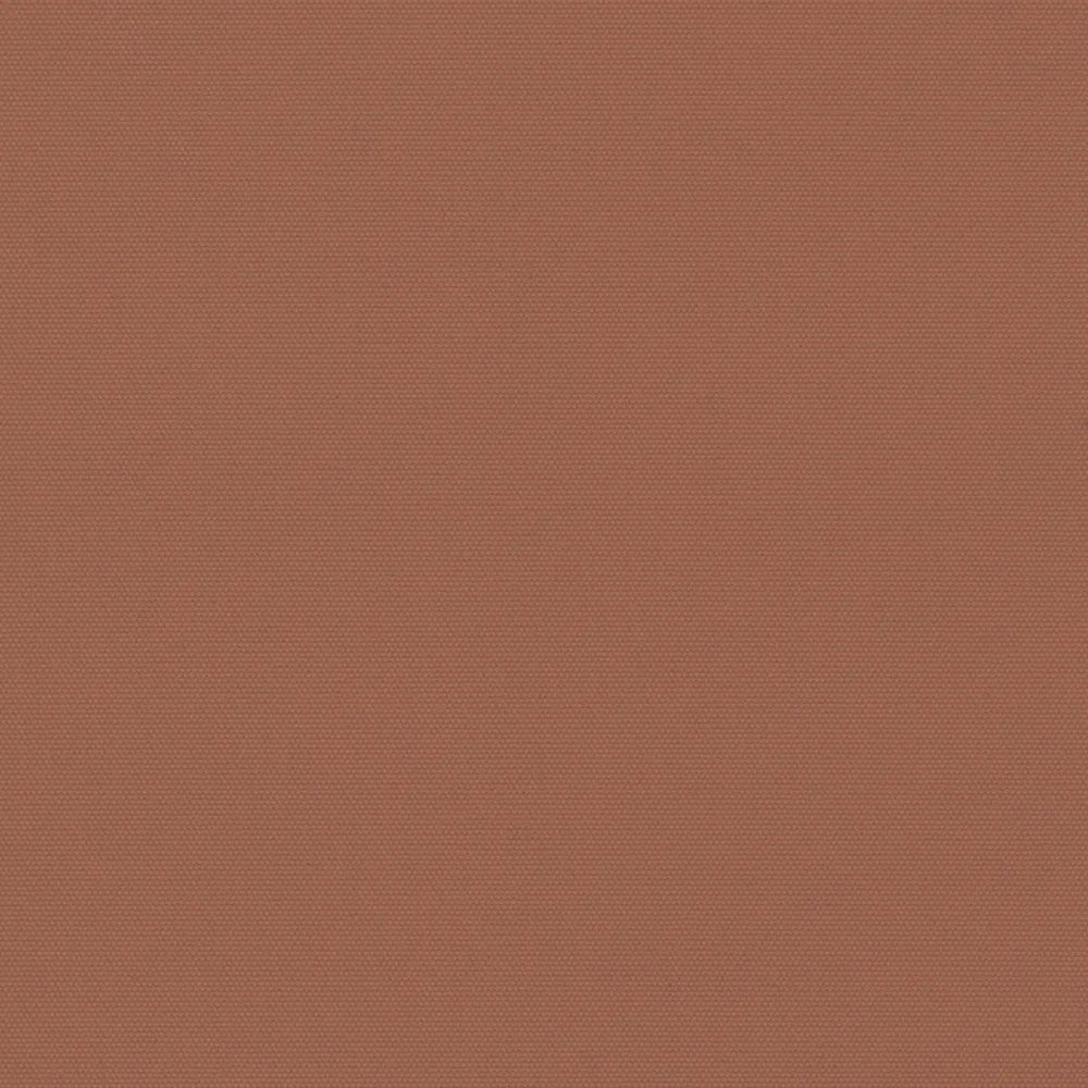 Carnival Terracotta