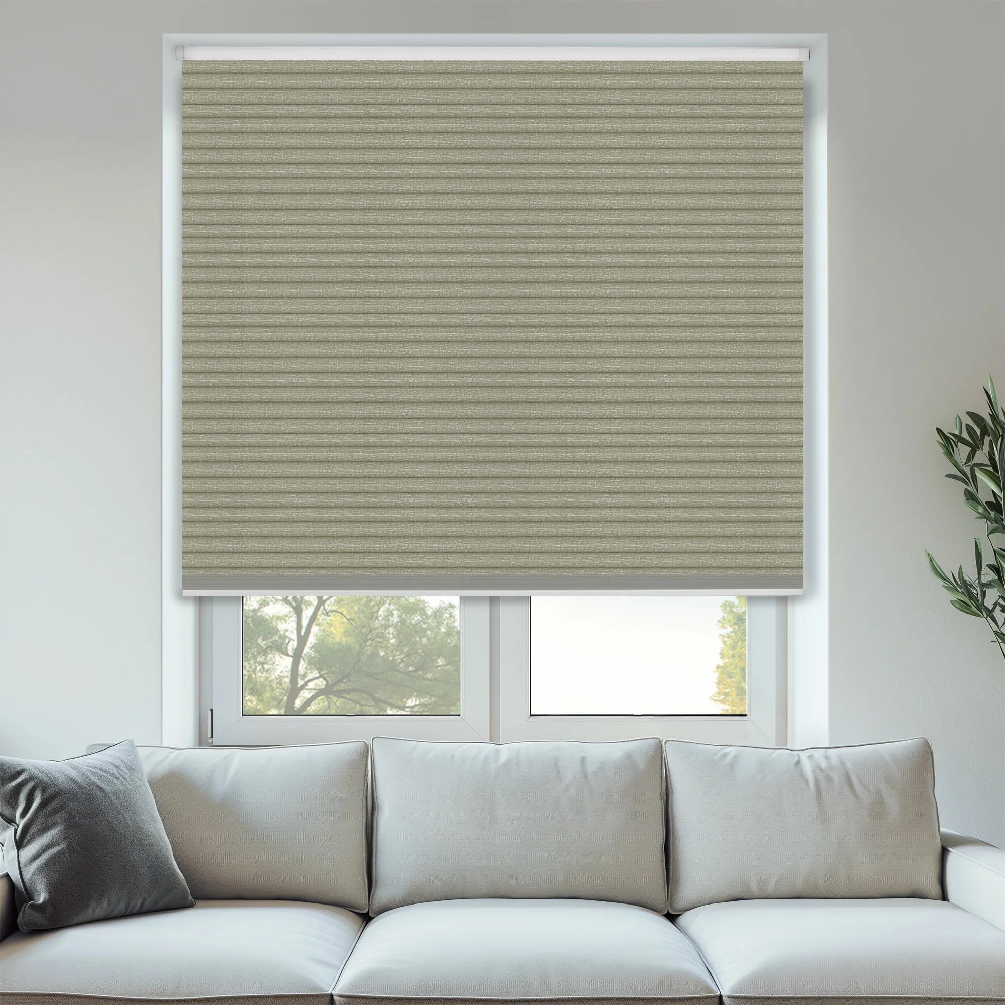 Raffia BO