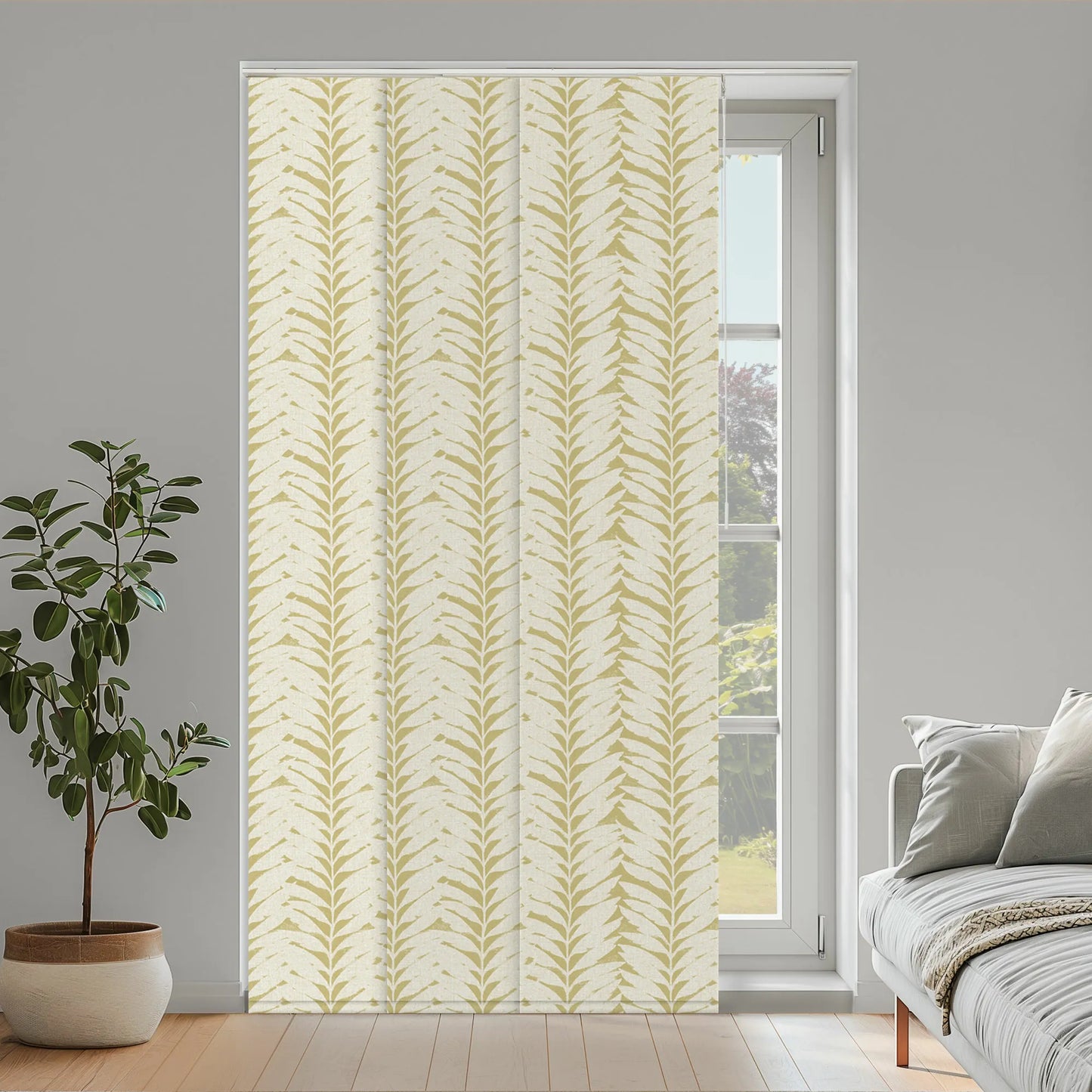 Acacia