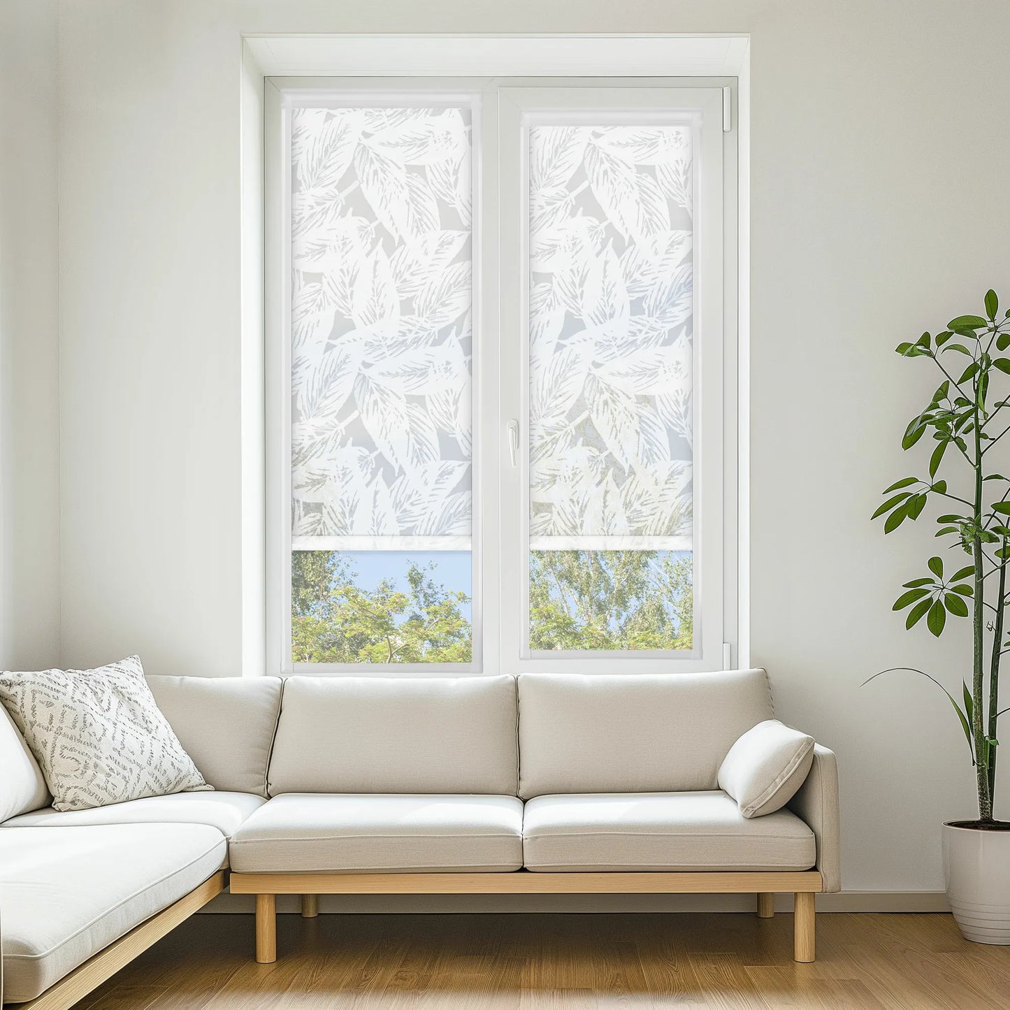 Bahama White