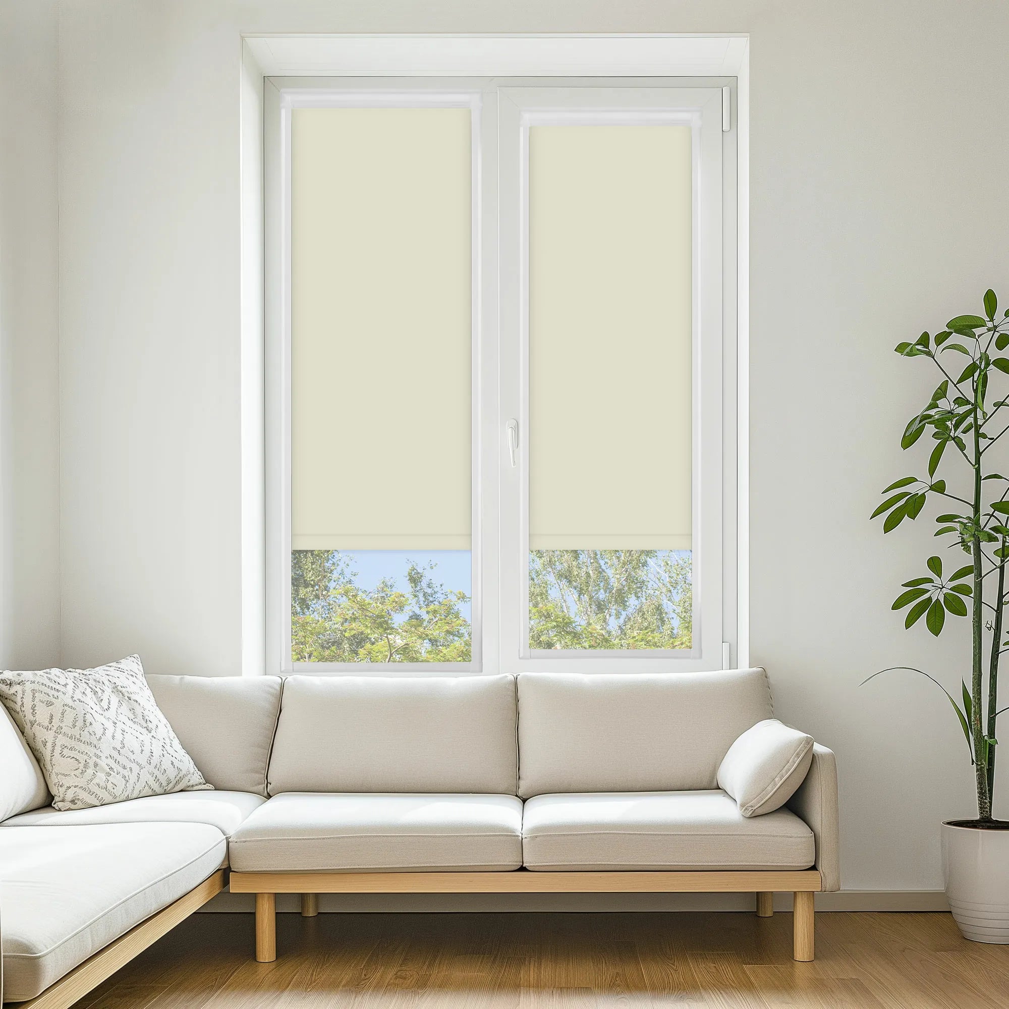 Carnival Blackout Cream