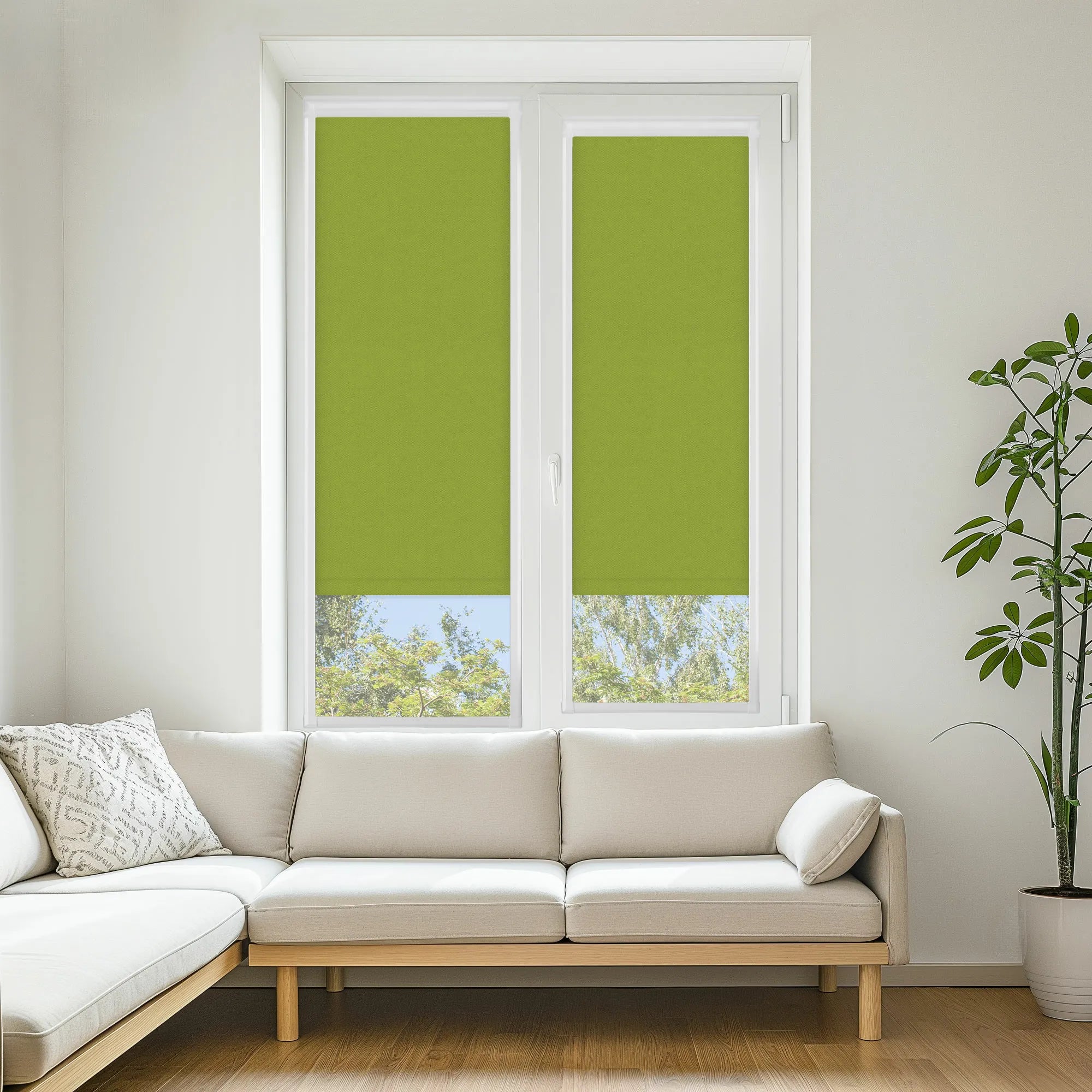 Carnival Blackout Kiwi