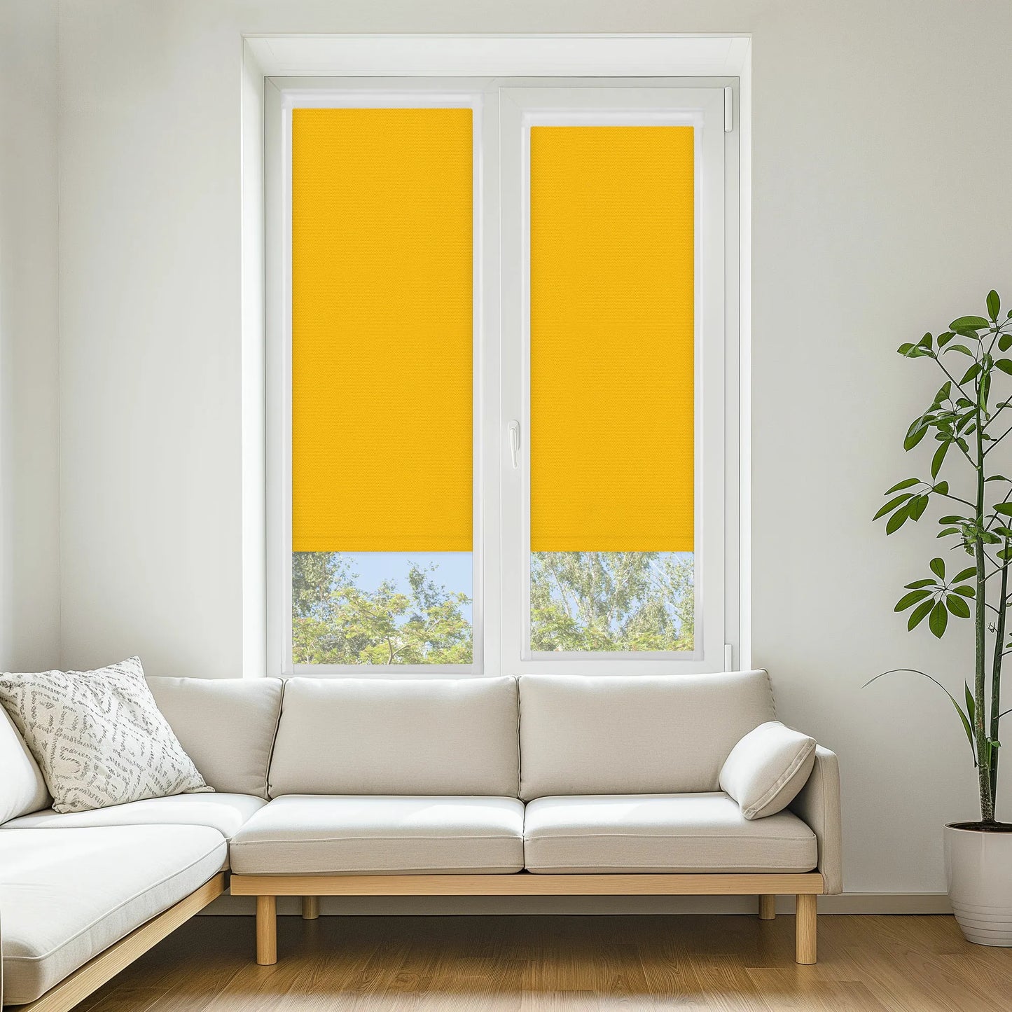 Carnival Blackout Ochre