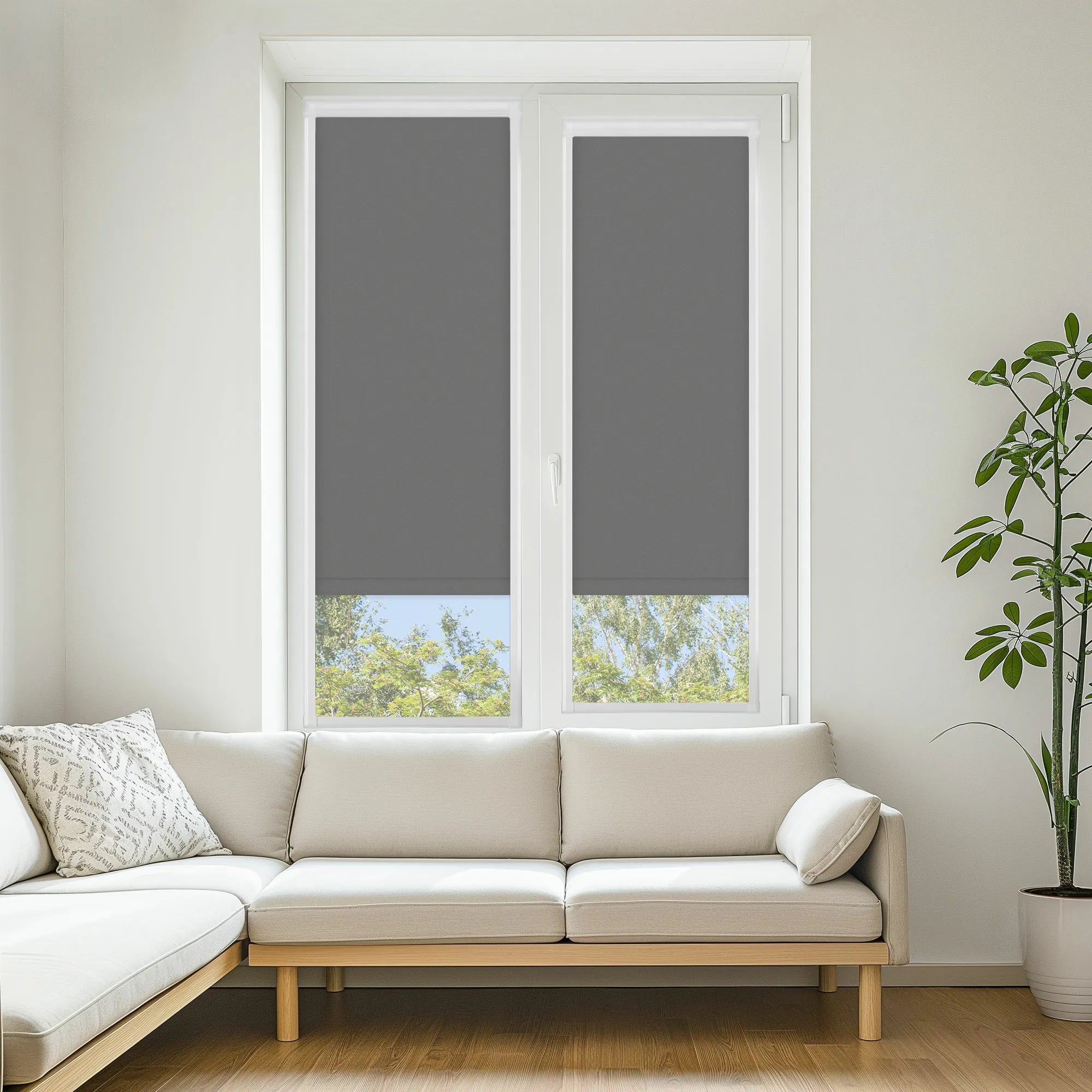 Carnival Blackout Shadow