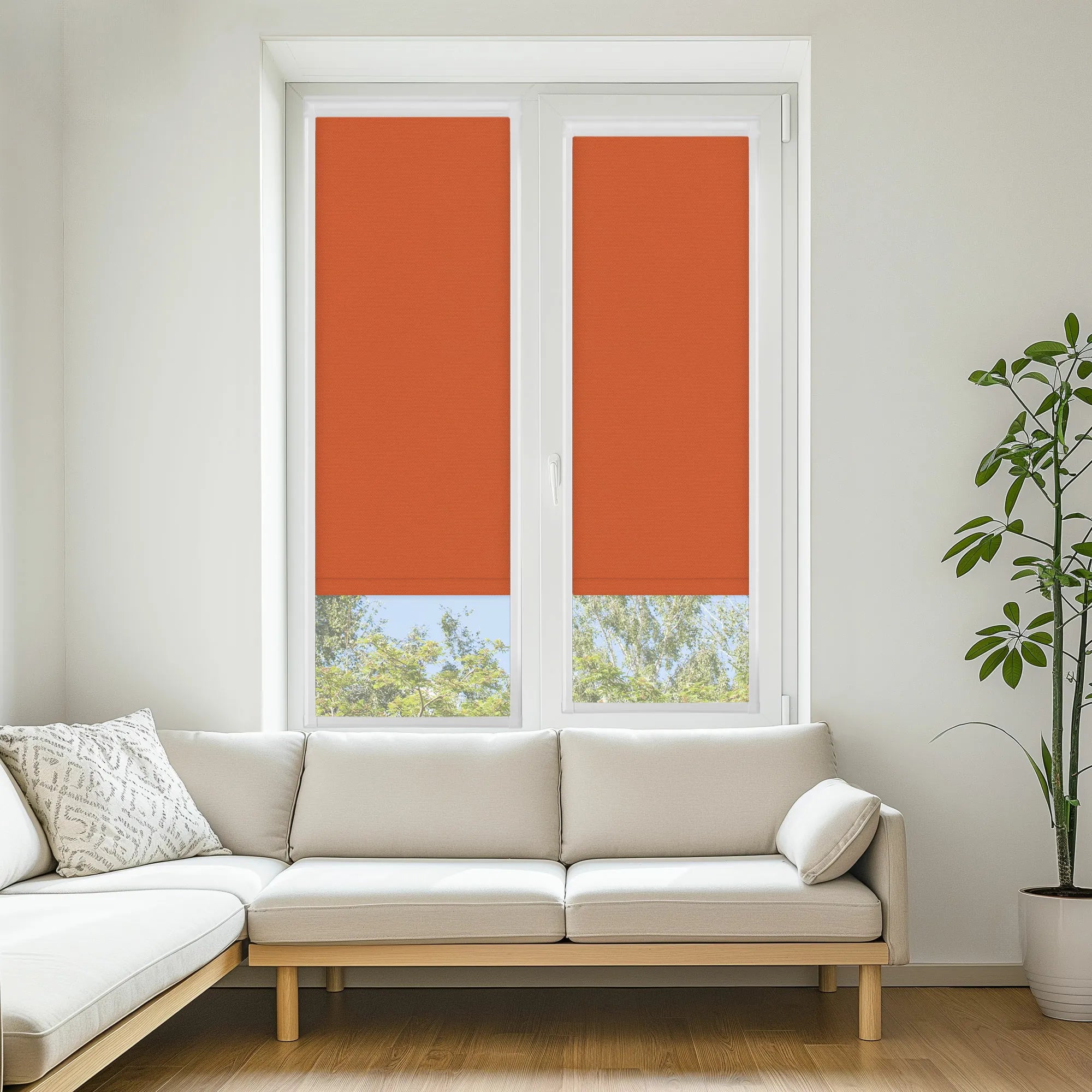 Carnival Blackout Sunset