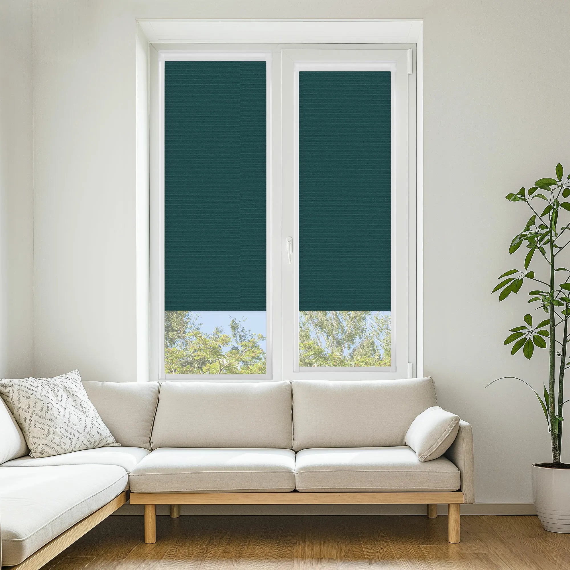 Carnival Blackout Teal