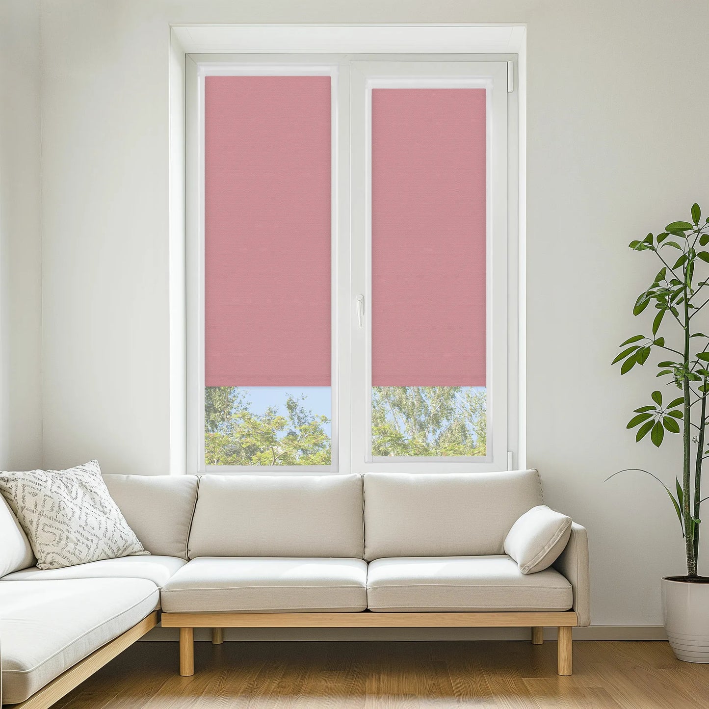 Carnival Pink