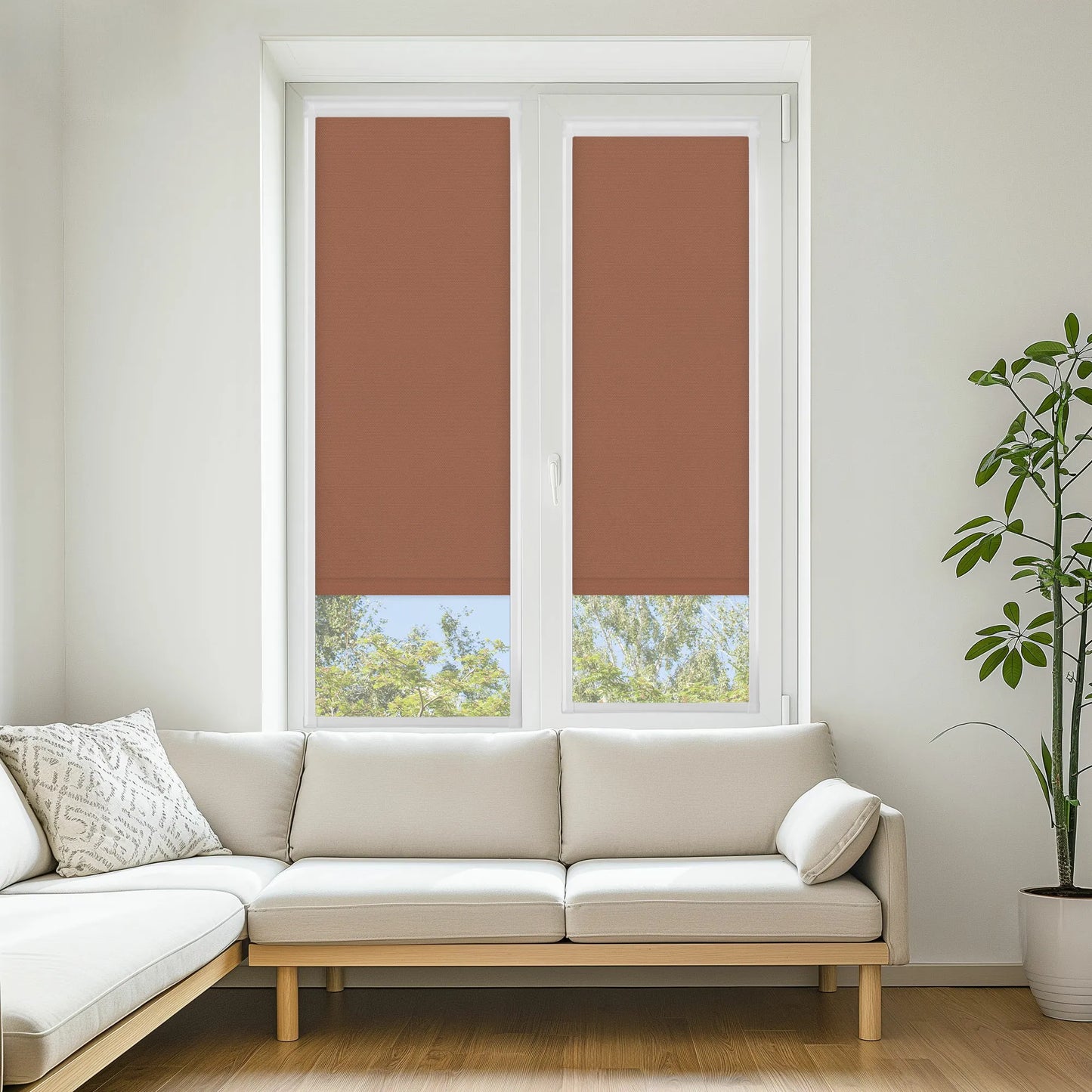 Carnival Terracotta