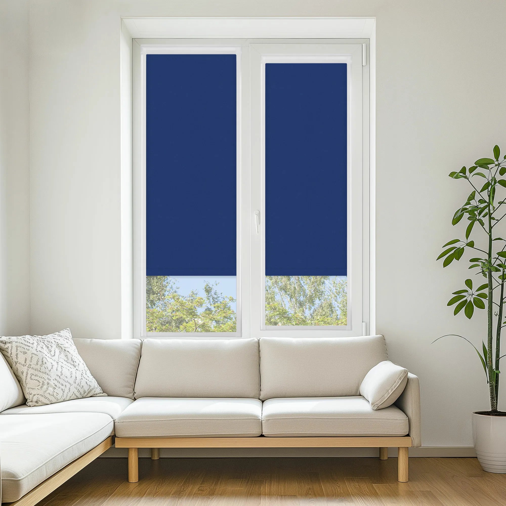 Pop Blackout Cobalt