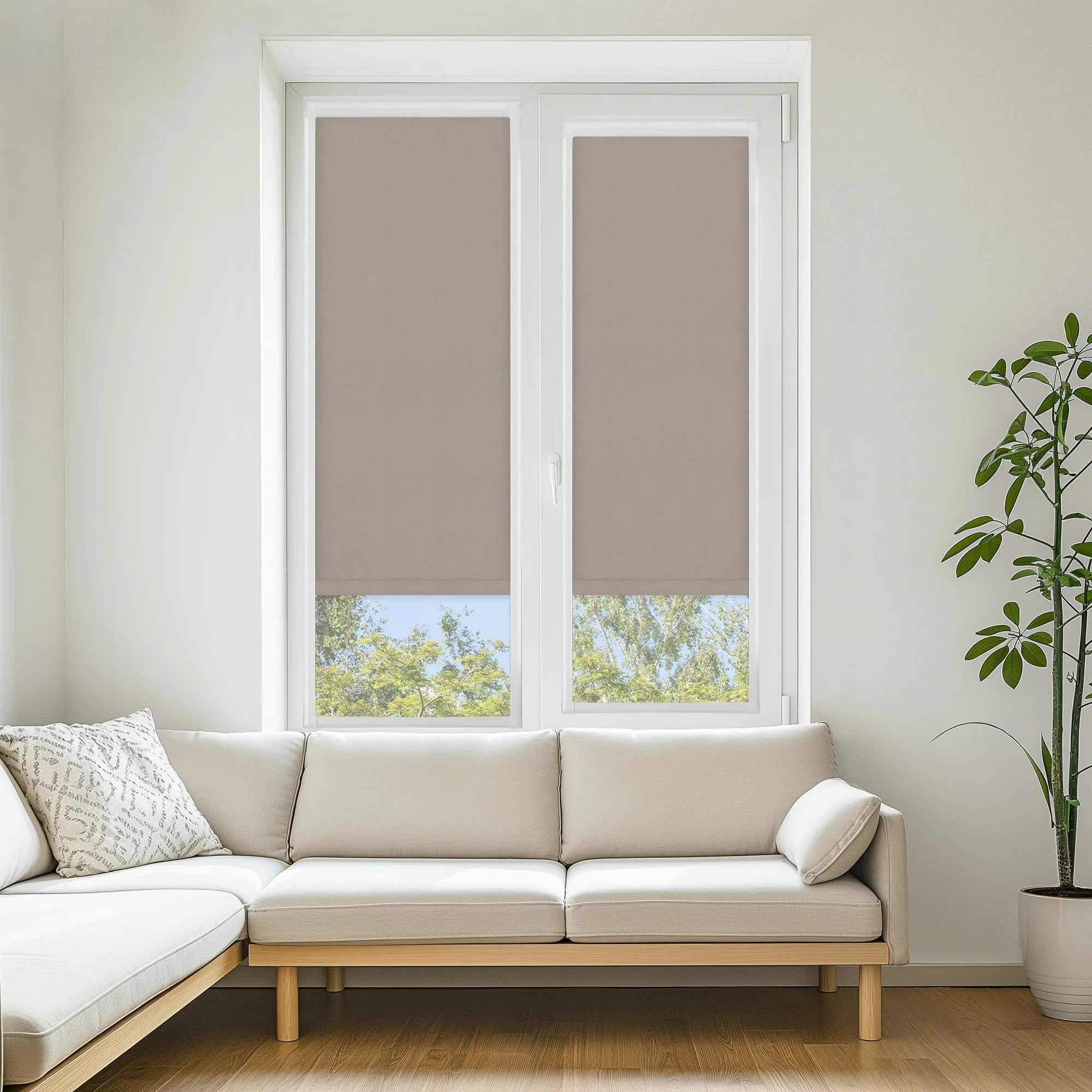 Pop Mocha