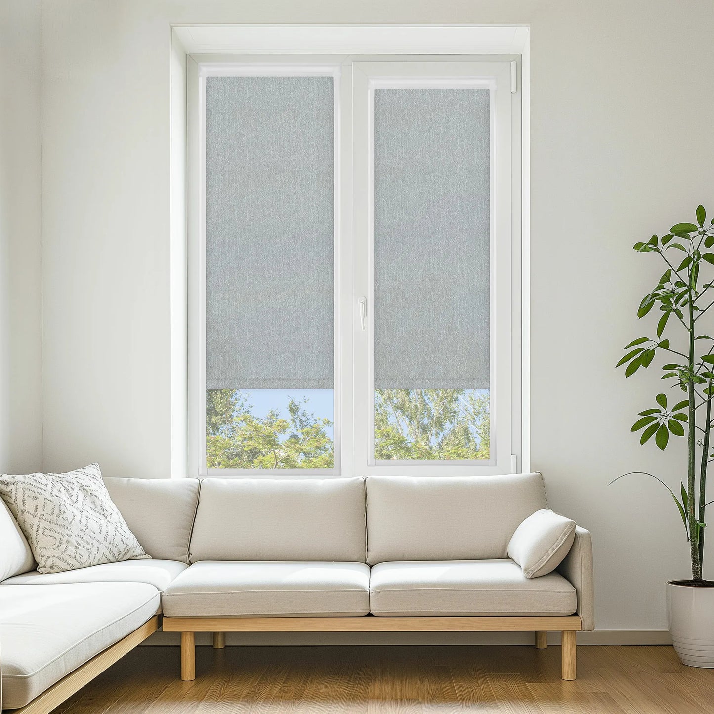 Ritz Birch
