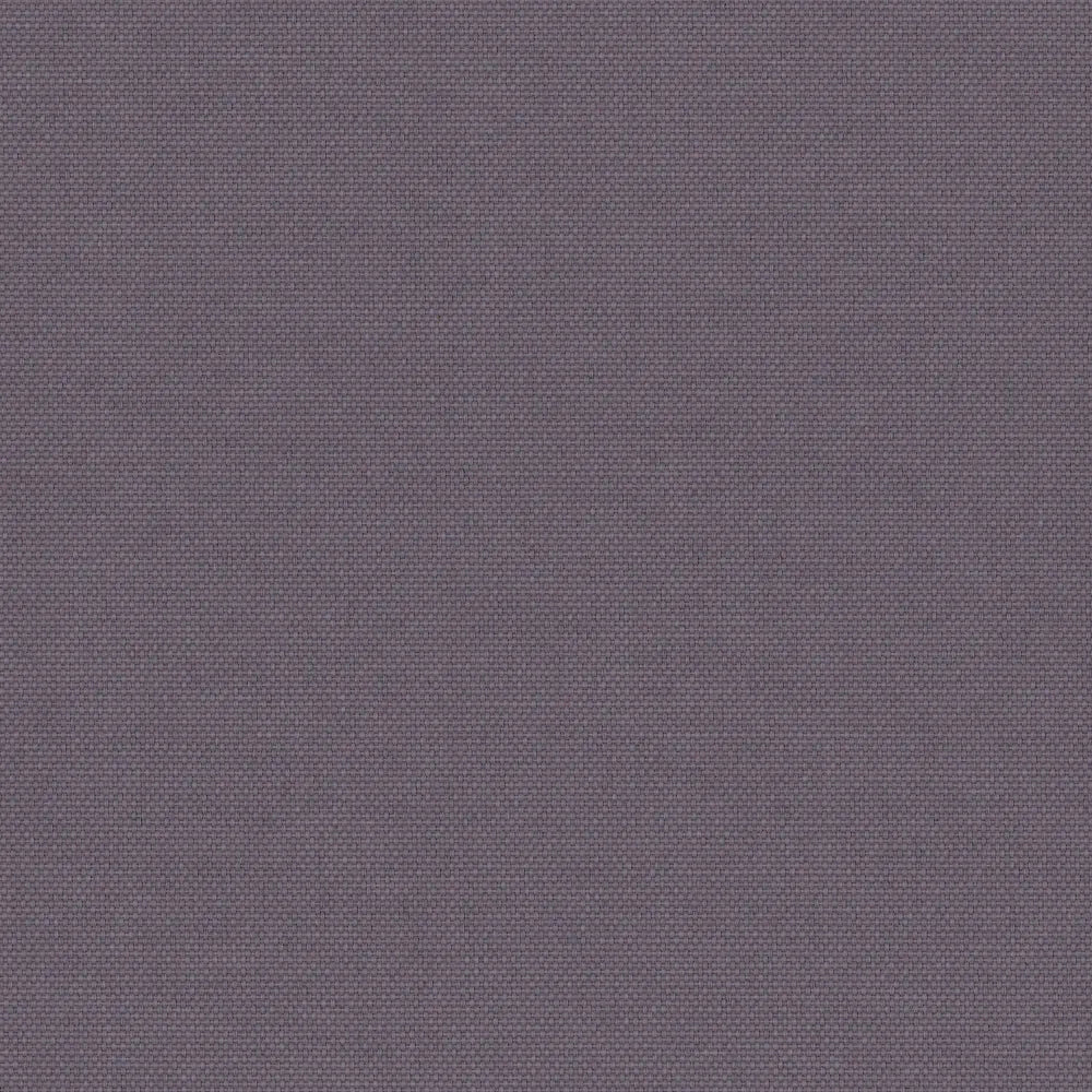 Pop Blackout Iris