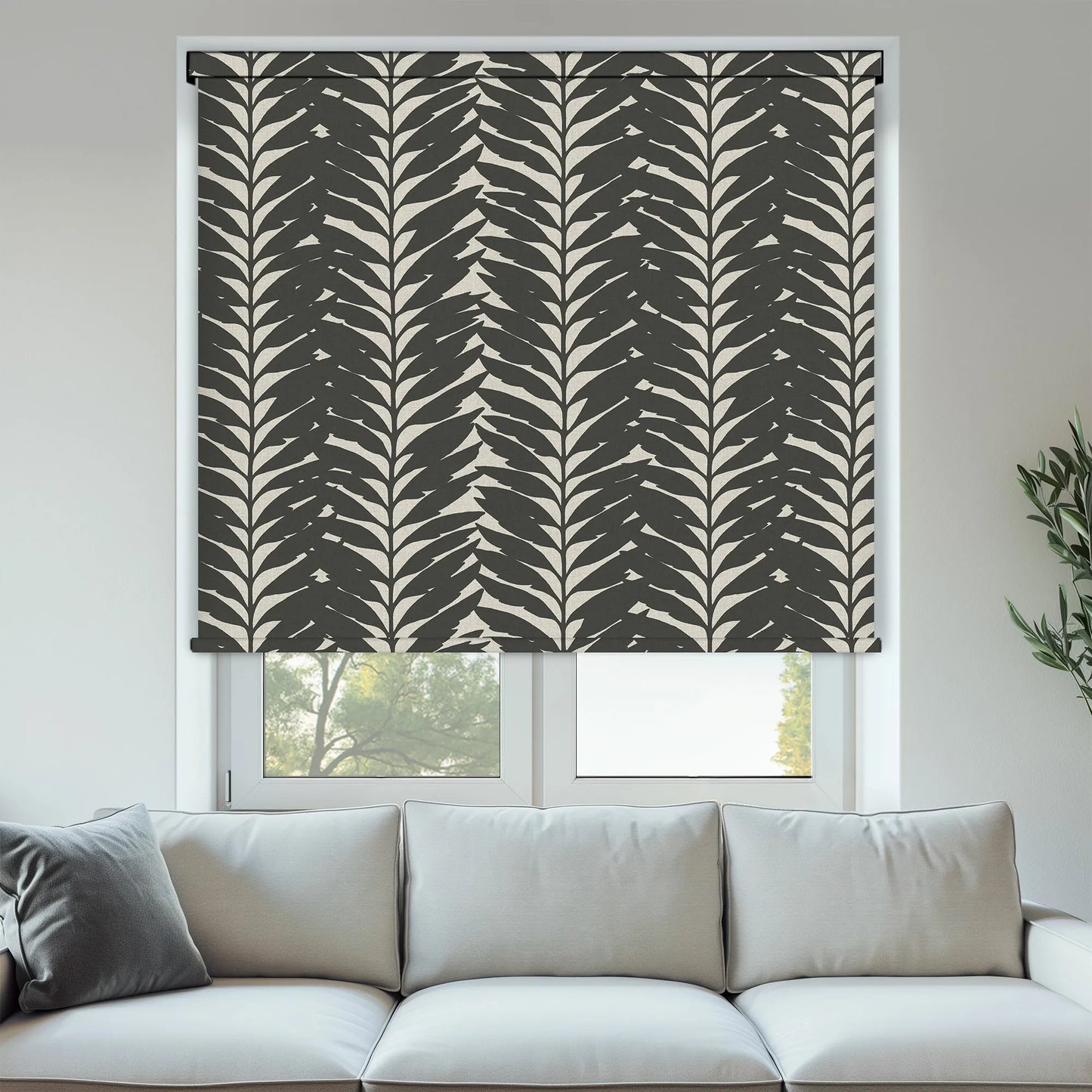 Acacia Ebony