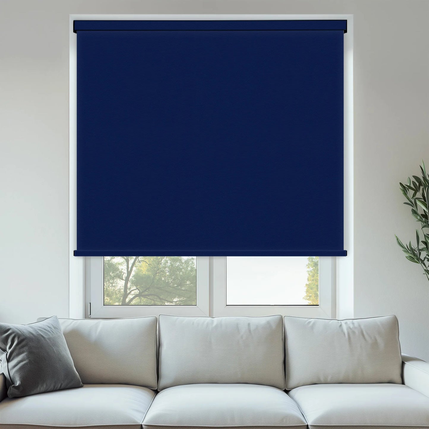 Carnival Blackout Sapphire