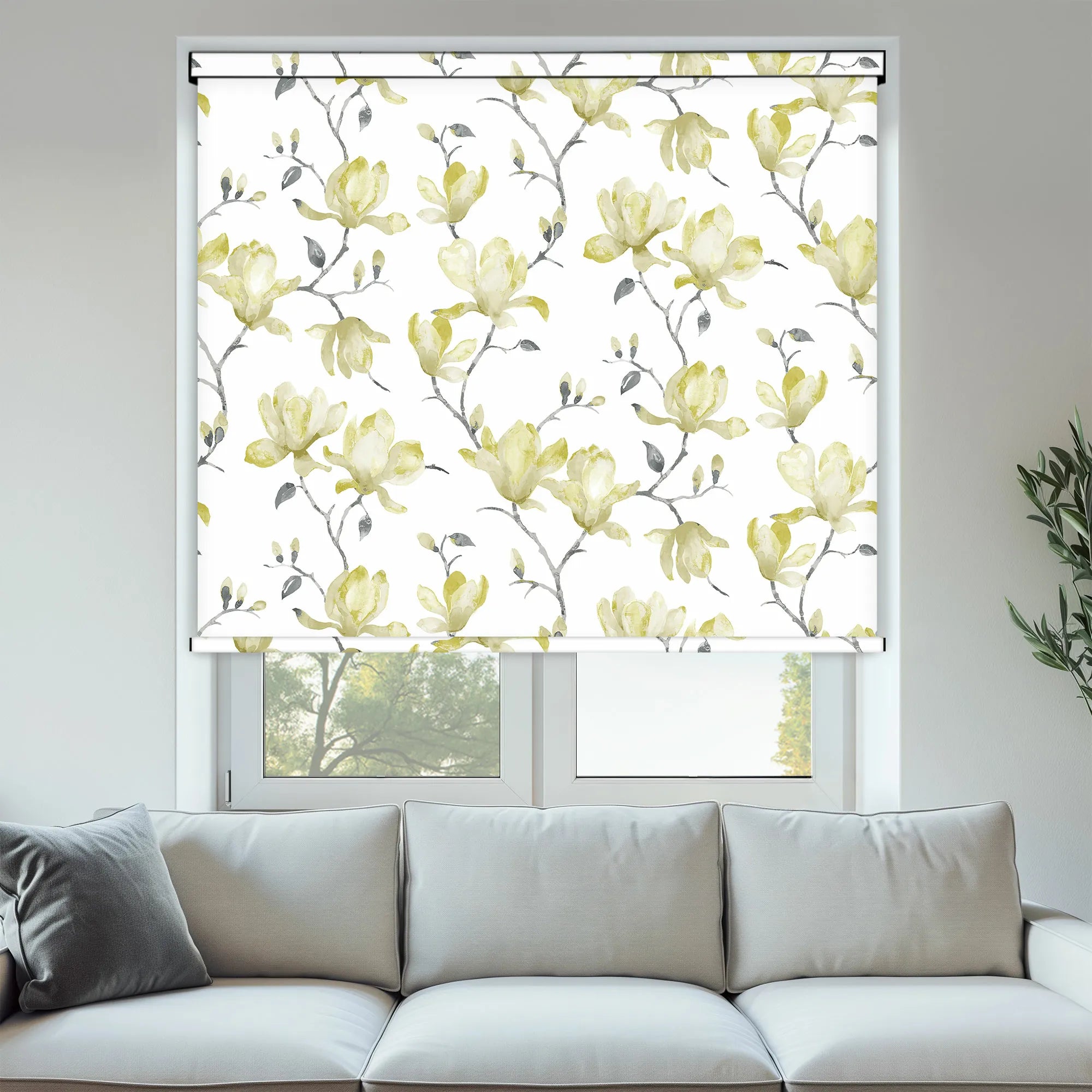 Magnolia Pipin