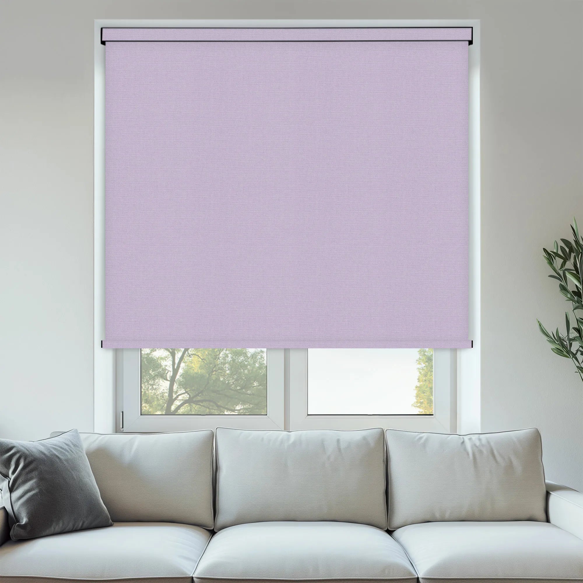 Pop Blackout Lilac