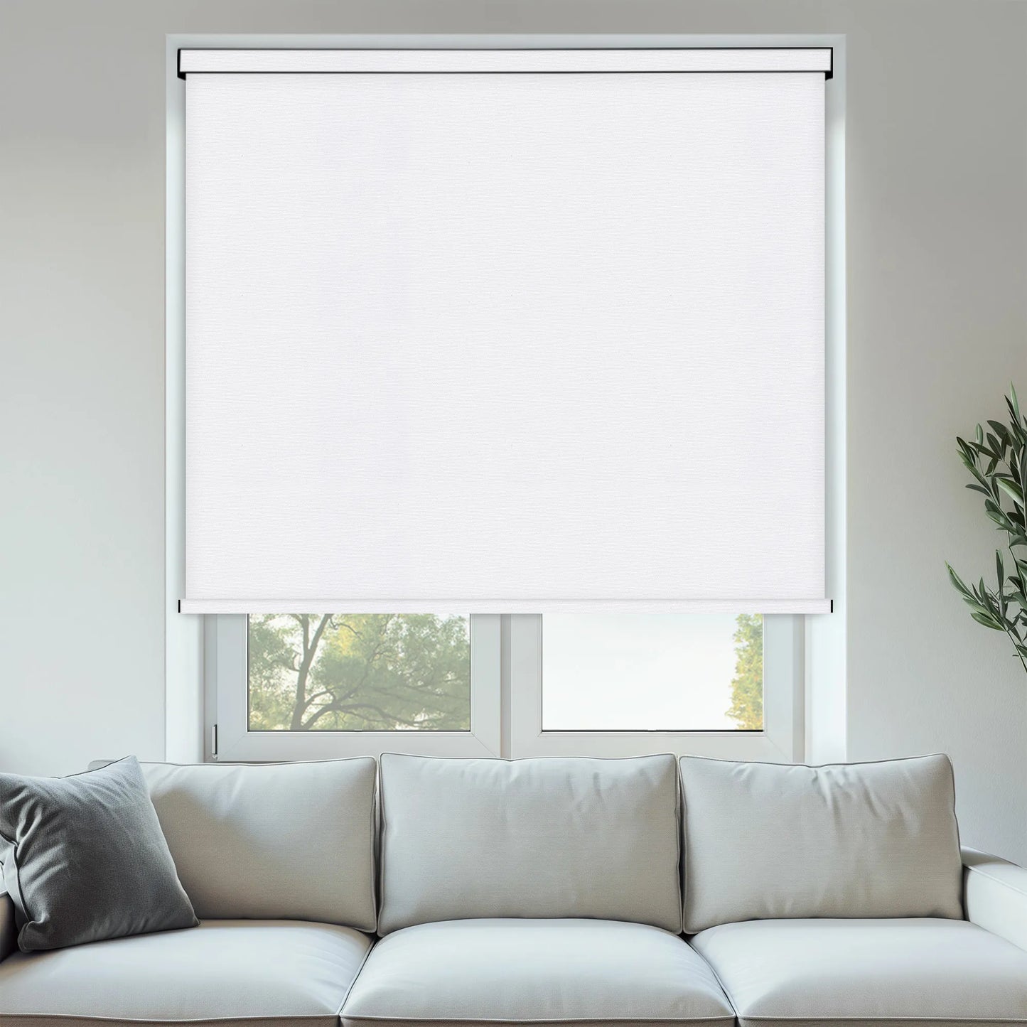 Sunset White