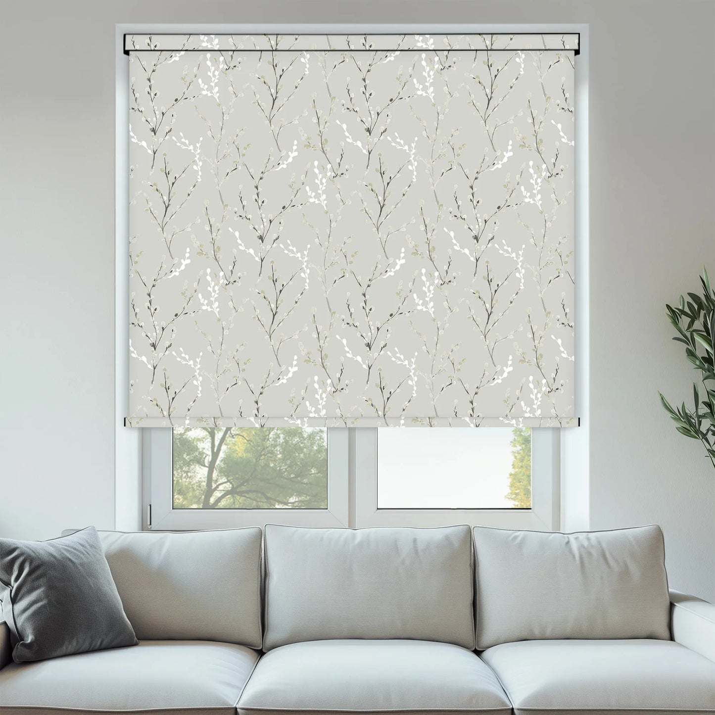 Willow Birch White