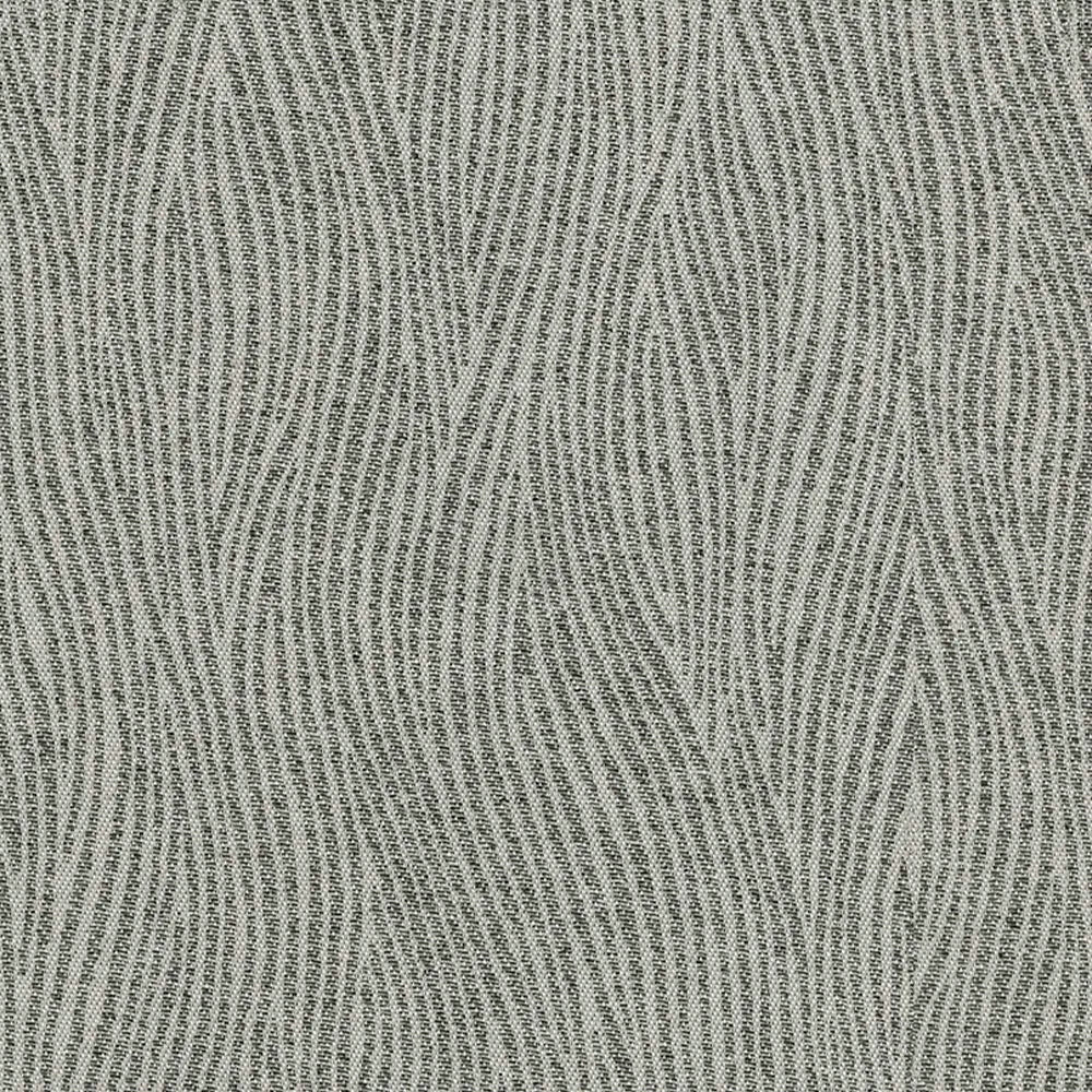 Savanna Blackout Zebra