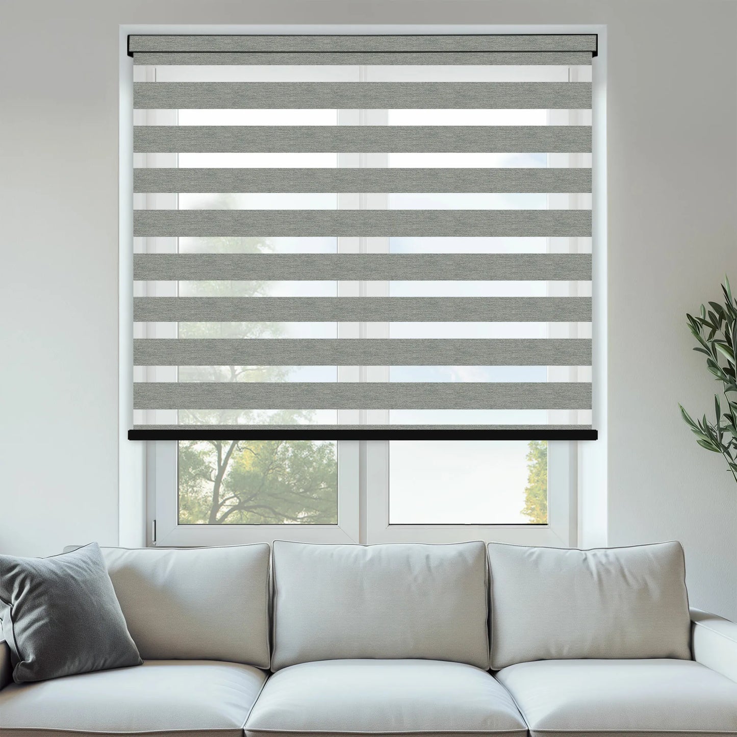 Setosa Grey