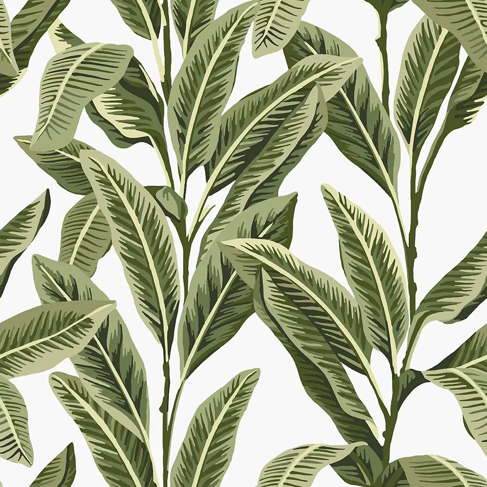 Tropical Palm Aloha