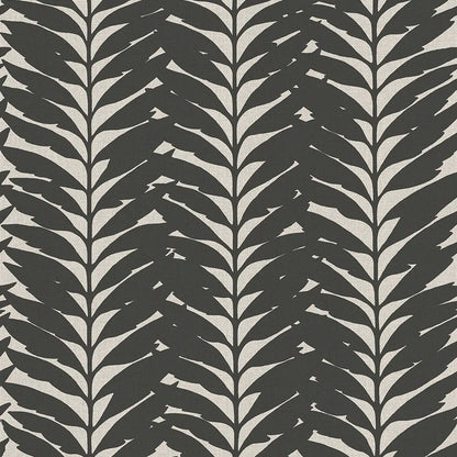 Acacia Ebony