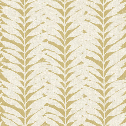 Acacia Caraway