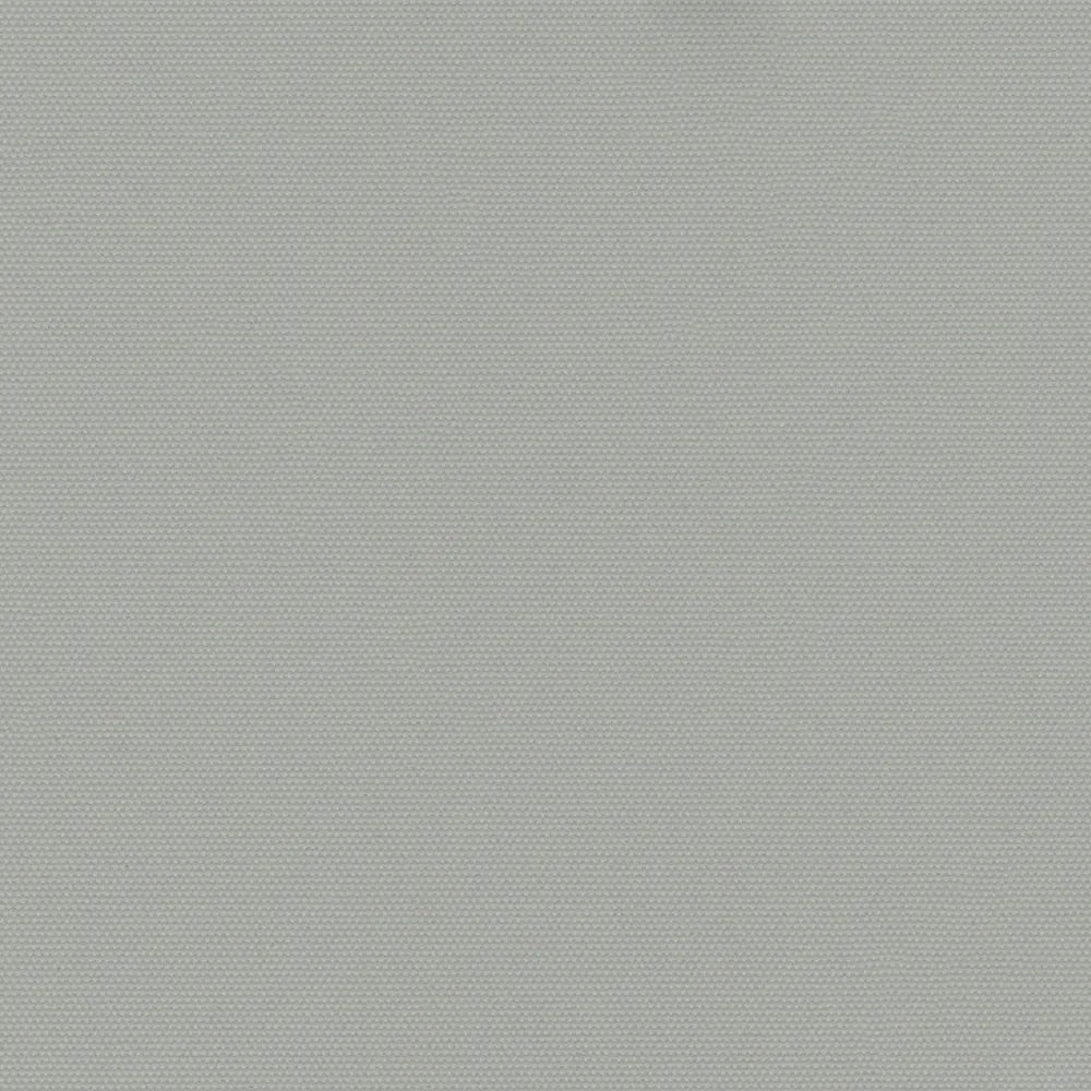 Carnival Birch