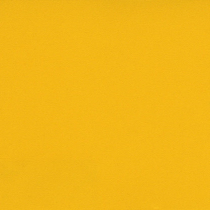 Carnival Ochre