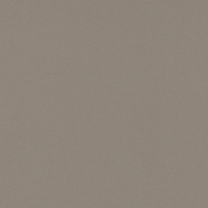 Carnival Taupe