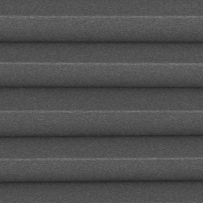 Celeste Anthracite