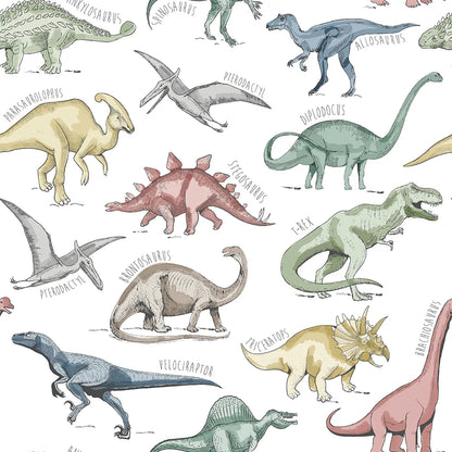 Dinosaurs Prehistoric