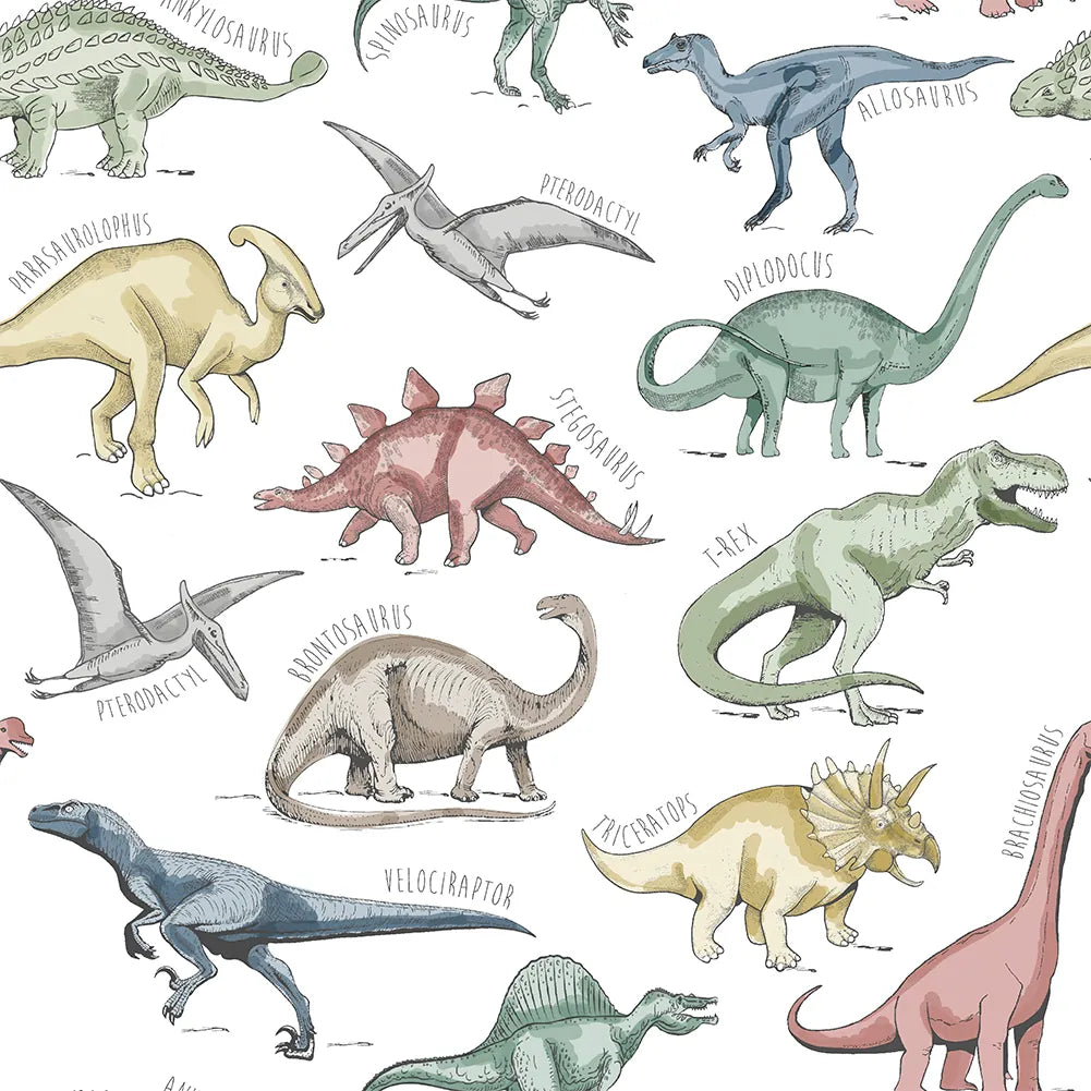 Dinosaurs Prehistoric