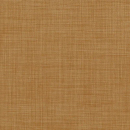 Oslo Maple