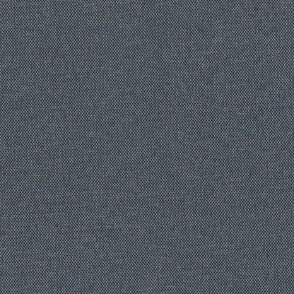 Oxford Denim