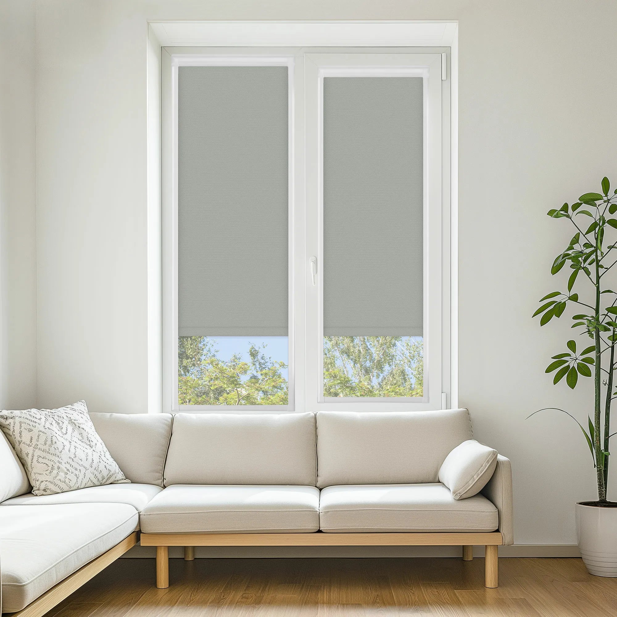 Carnival Blackout Birch