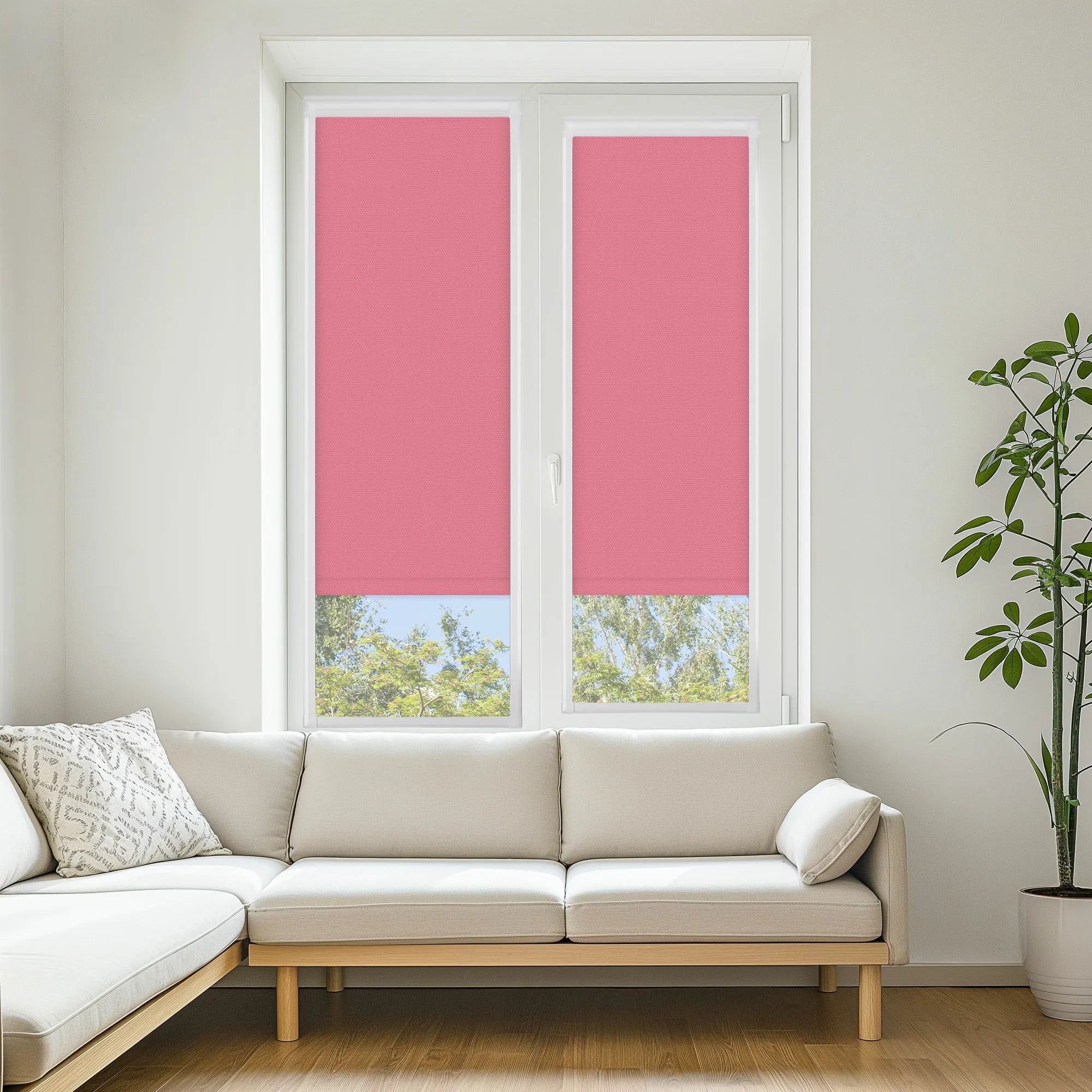 Carnival Blackout Bubblegum