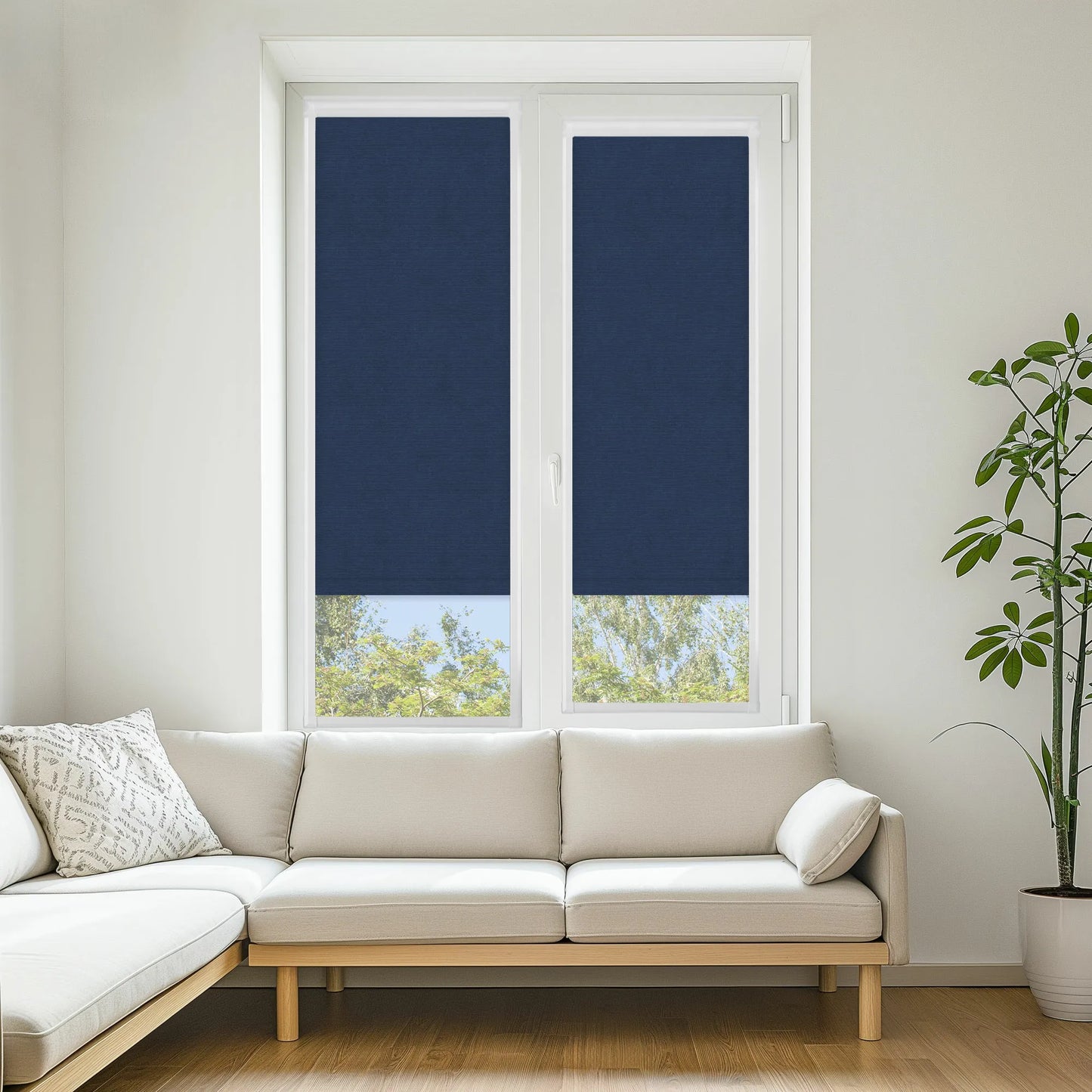 Dapple Spc+ Royal Blue