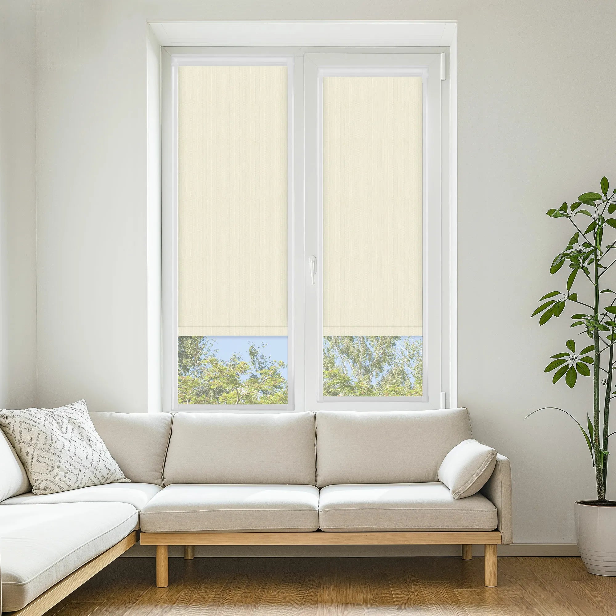 Ex-Lite Canvas