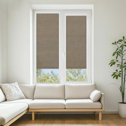 Oslo Birch