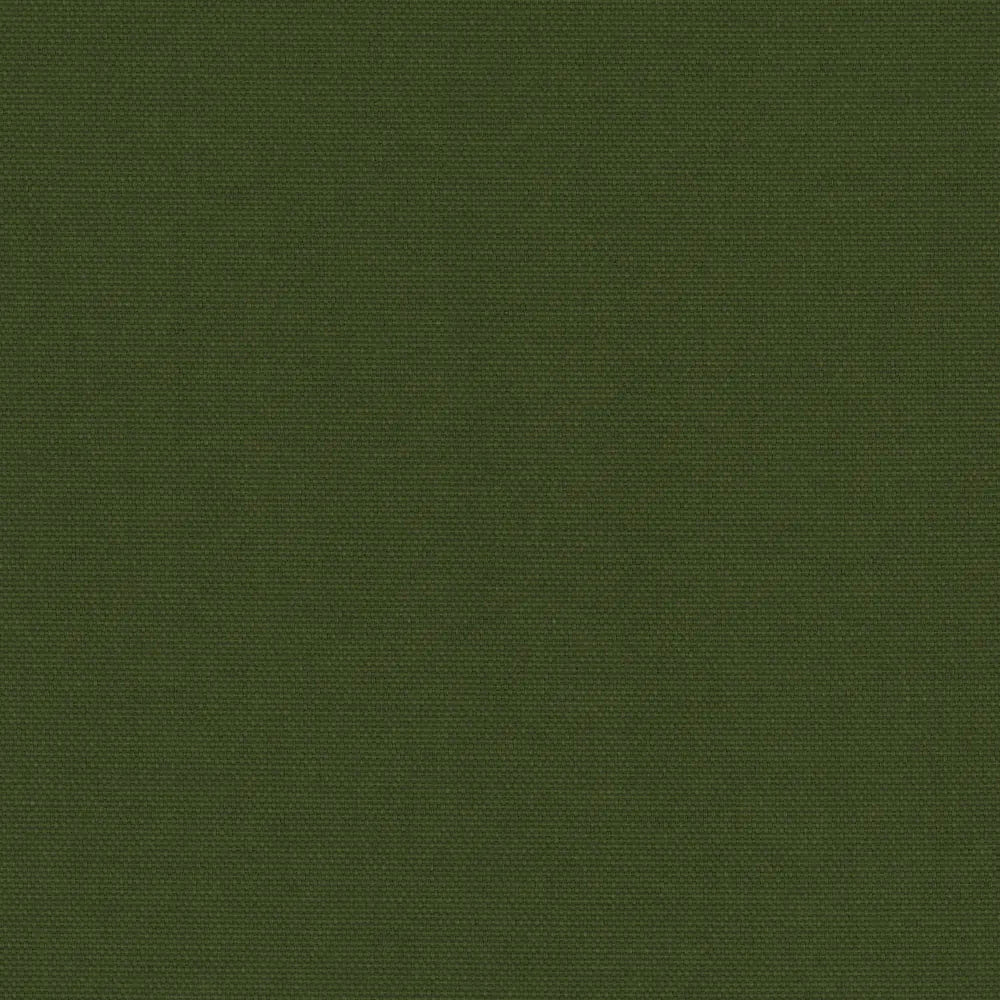 Pop Blackout Fern