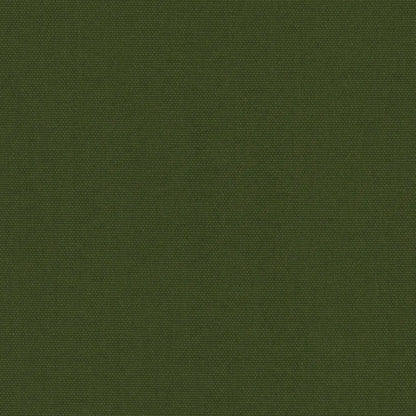 Pop Blackout Fern