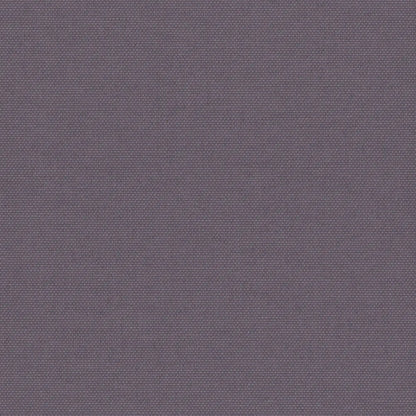Pop Iris